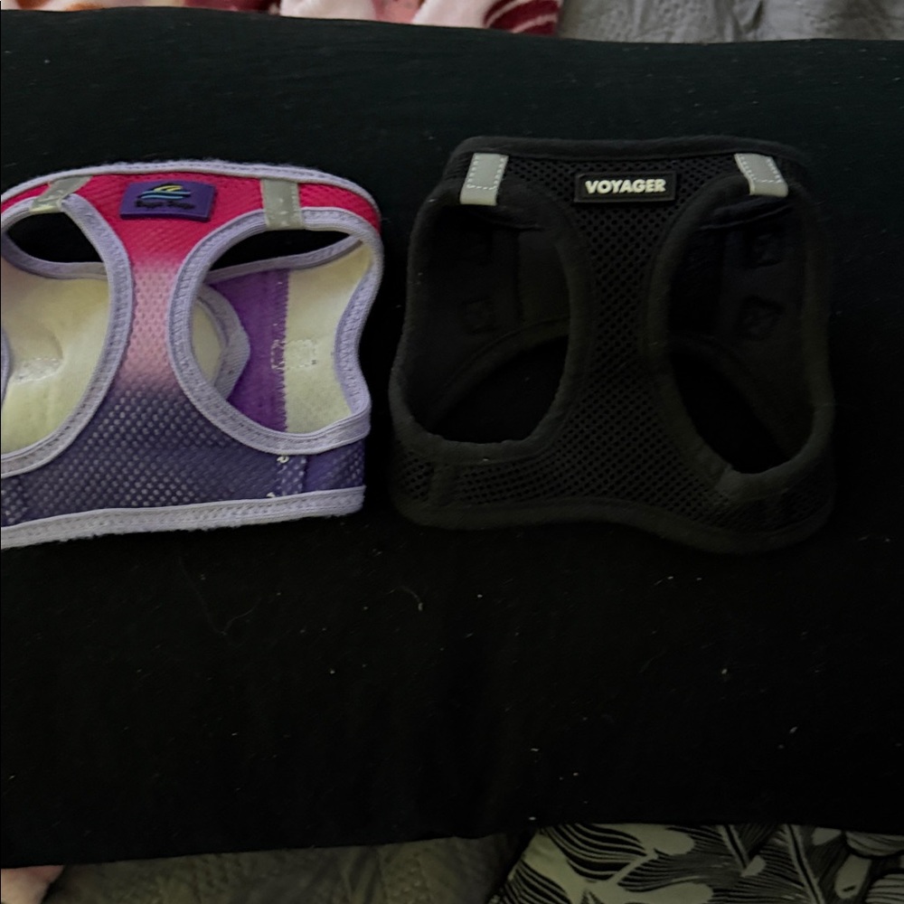 Voyager Black and Purple Dog Harness Set